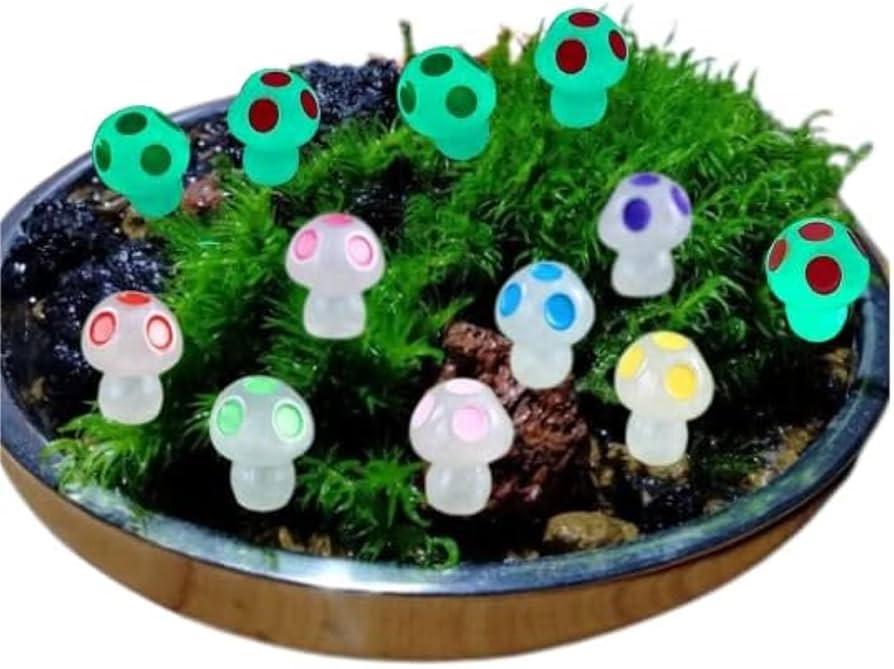 苔テラリウム　コレクション No.１ 苔テラリウム コレクション No.1 - メルカリ